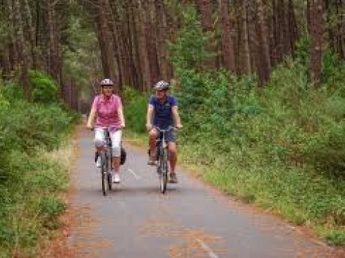 Les voies vertes à vélo autour de Compiègne